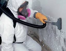 Why You Should Choose Our Mold Remediation Services in Albion, PA